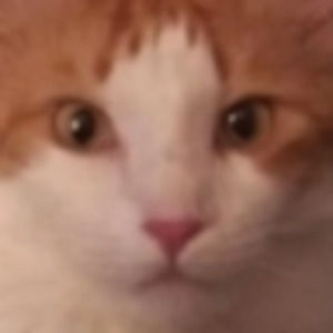 Meet your Posher, Zachary